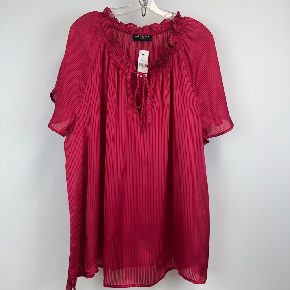 Lane‎ Bryant Blouse Women 22/24 Pink Pleated Sheer Ruffle NWT